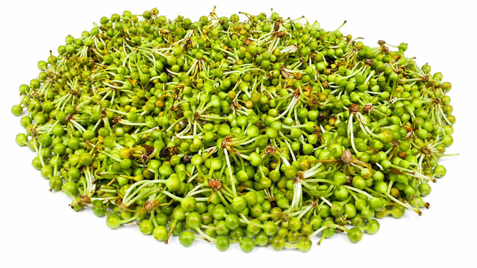 Agaja Ful (Agaja Gulo)